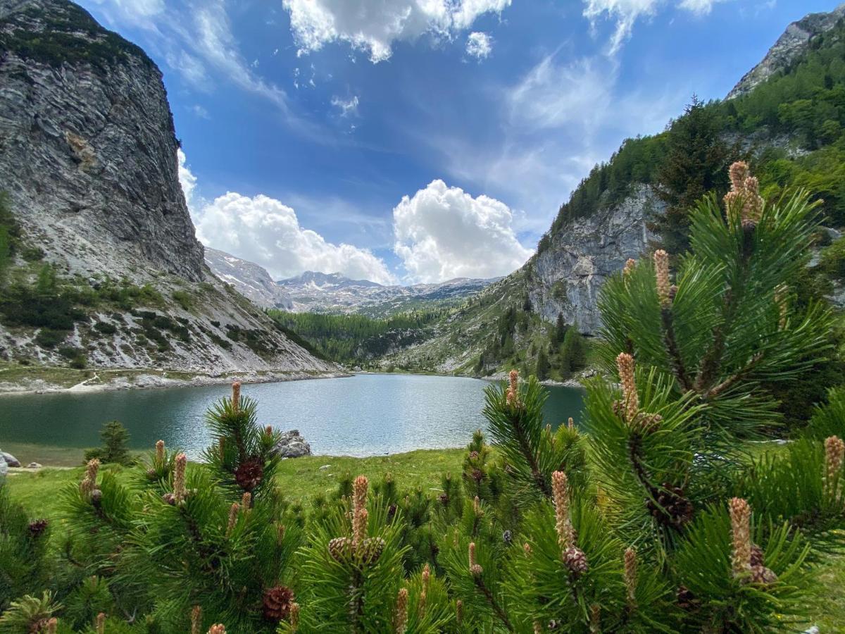 Hostel Soca Rocks Bovec Zewnętrze zdjęcie